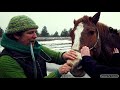 Equine veterinarian doc jenni treats an impaction colic