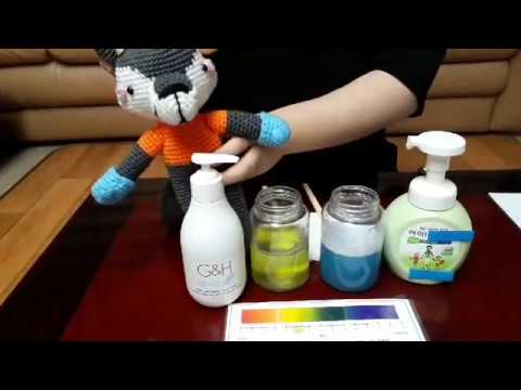 암웨이 G&H 프로텍트+ 컨센트레이티드 핸드솝 Amway G&H PROTECT+ Hand Soap 핸드워시 데몬