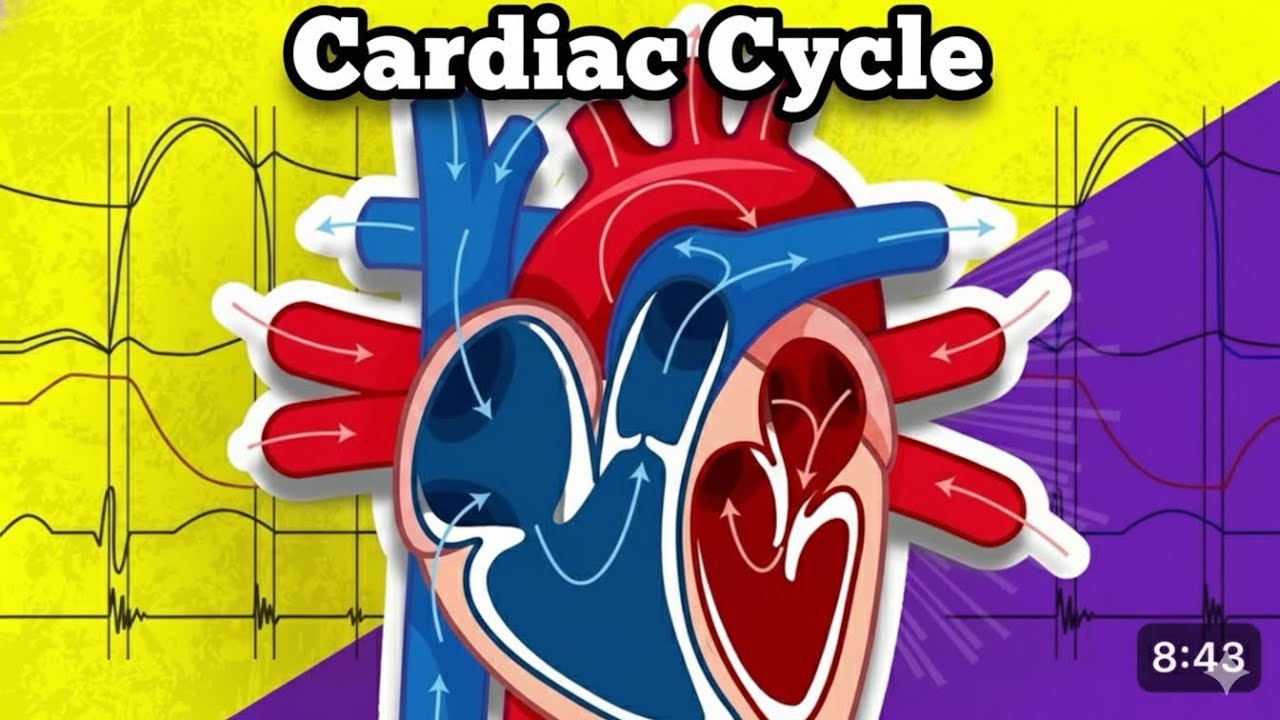 Cardiac cycle full topic explain in hindi // 