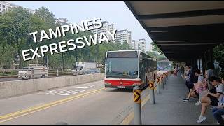 BUSES ALONG TAMPINES EXPRESSWAY - SINGAPORE 2026