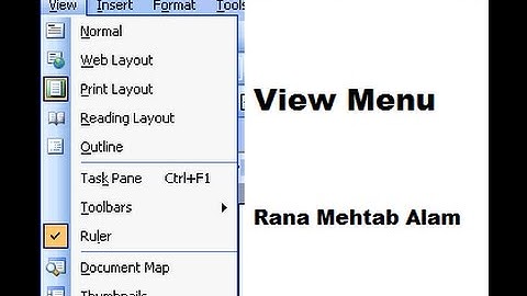 How to Use The View Menu In Ms Word / WinWord 2003 in Urdu/Hindi | Lunar Computer College
