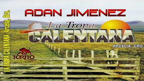 Adan Jimenez Tropa Calentana De Arcelia Gro,