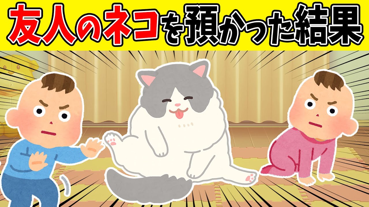 【感動】夜寝る前に聞きたい90分！！友人のネコを預かった結果が予想外過ぎた【ゆっくり】