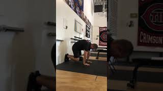 Bear Position ISO Hold With Breathing