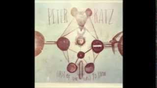 The Fence - Peter Katz (lyrics video)