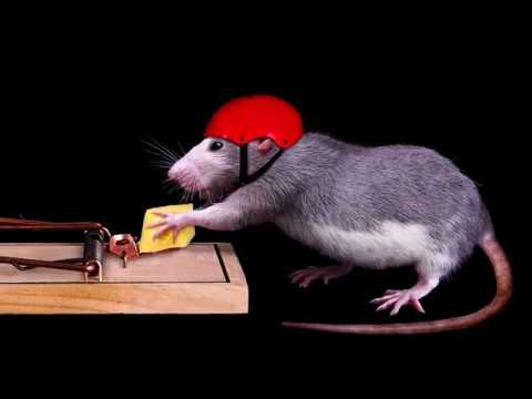 5 лучших историй с моралью