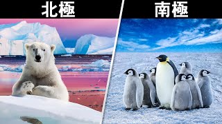 北極和南極有什麼不同之處呢？