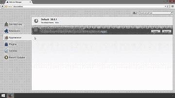 Firefox: How to Remove Themes