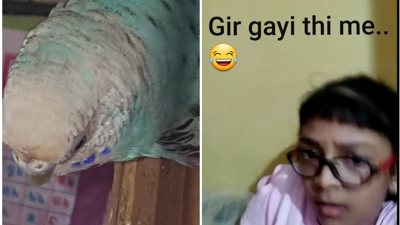 Part - 2 It's funny at the ending..😂 