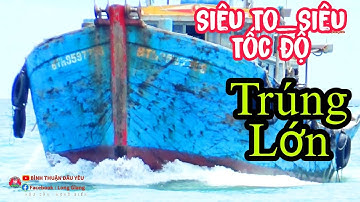 🔴 Tiếp Tục Cảnh Quay Đoàn Giã Cào Lagi Về Cảng || Bình Thuận Dấu Yêu