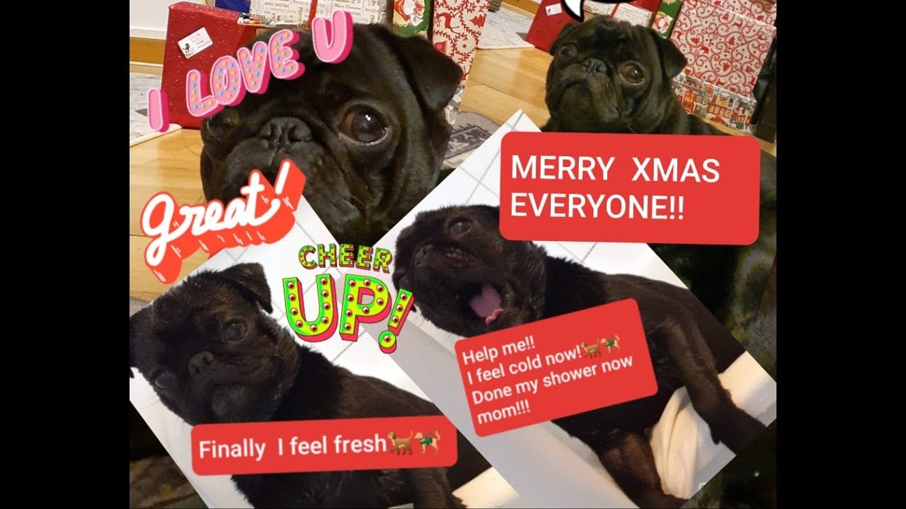 Christmas grocery haul- 2019/ part 1 Xmas groceries part one! - YouTube