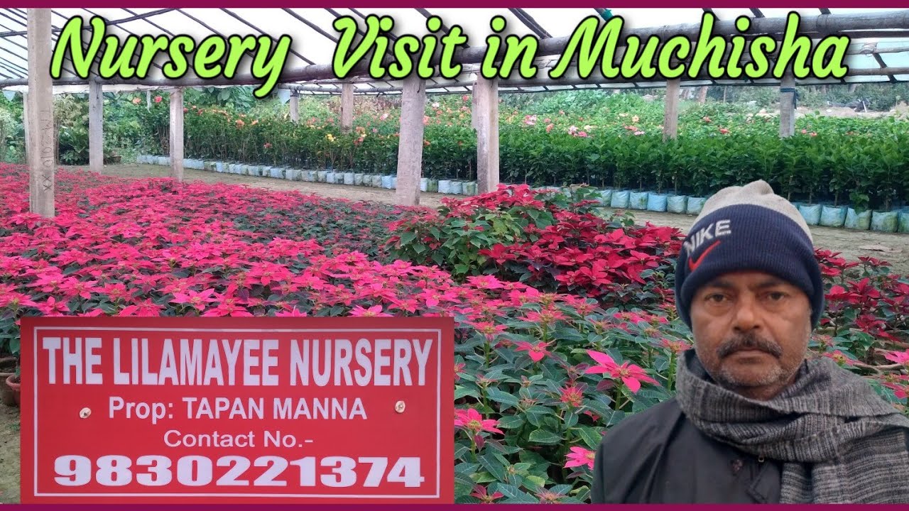 Hibiscus & Poinsettia Plant Garden Visit/The Lilamoyee Nursery