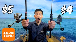 $100 Temu Fishing Challenge!