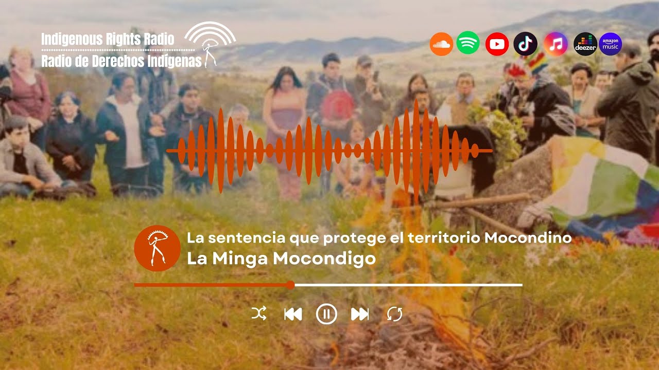 Preview for Mocondino: A History Of Territorial Defense