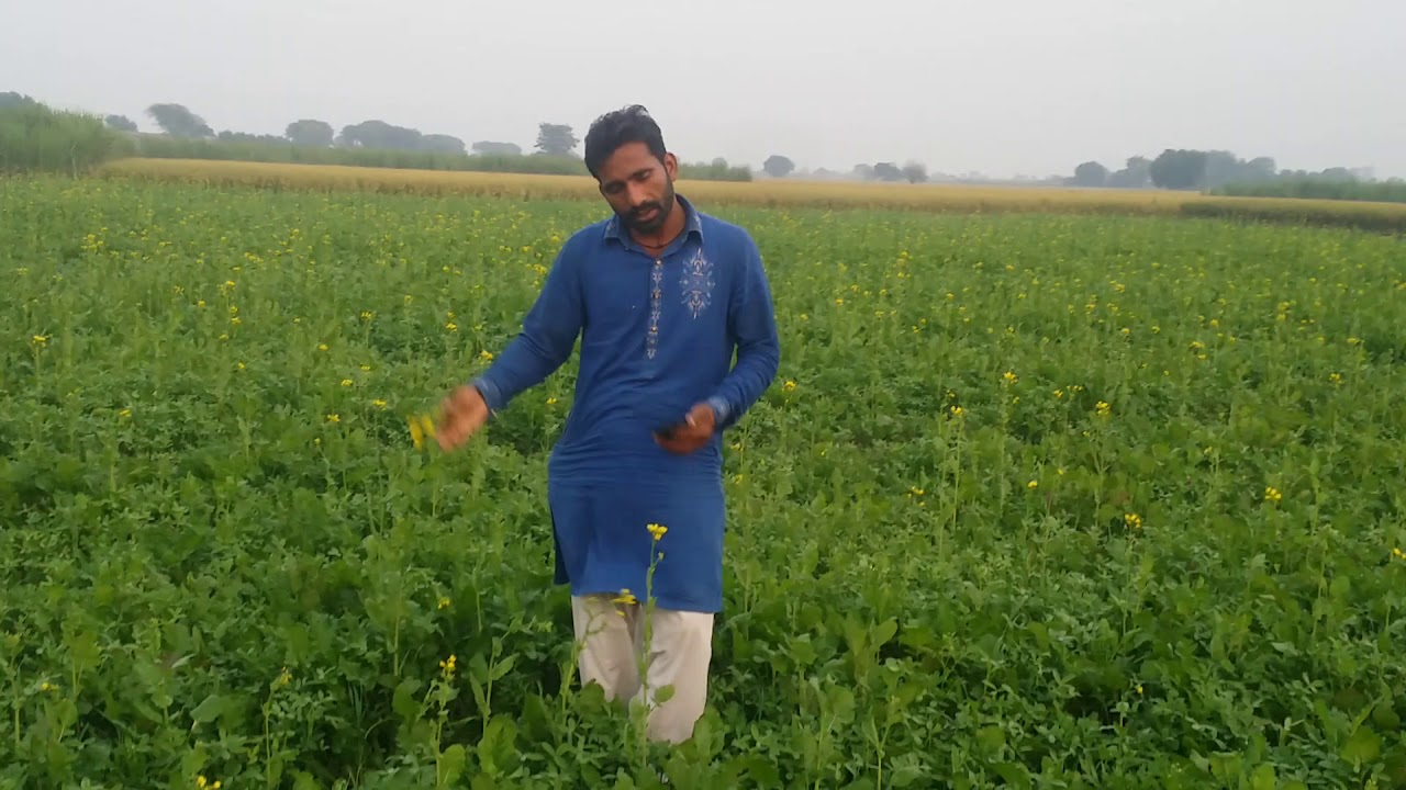 Intzar raju - YouTube