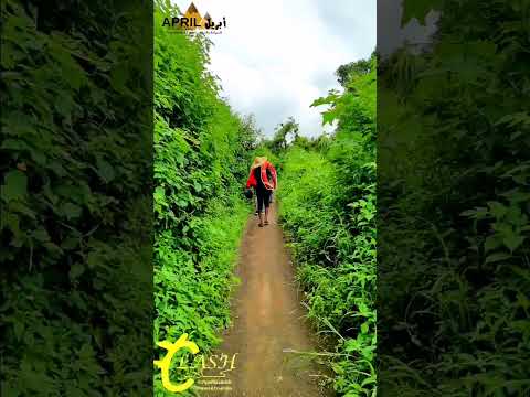 رحلة الي جبل مرة 2 السياحة في السودان