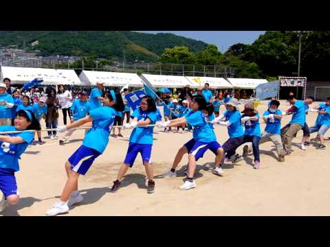 井口町民体育祭2015_一般綱引き