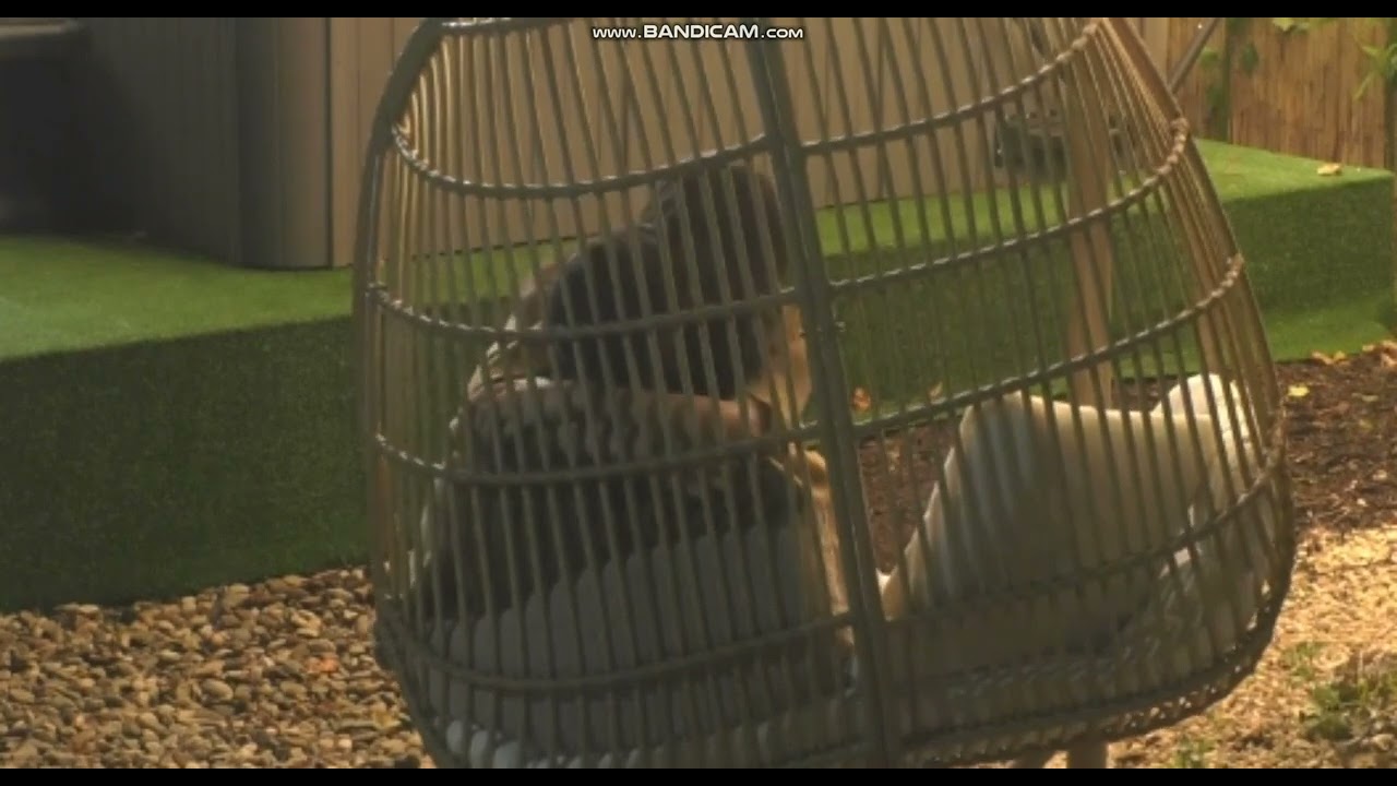 Andrei si Yana isi fac mereu declaratii de dragoste