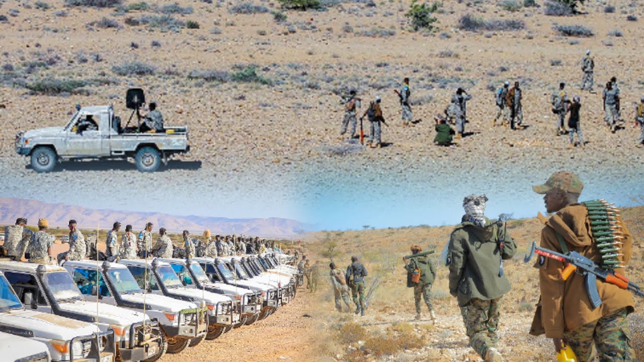 В Пунтленде сообщили, что в одном месте было убито множество иностранцев.