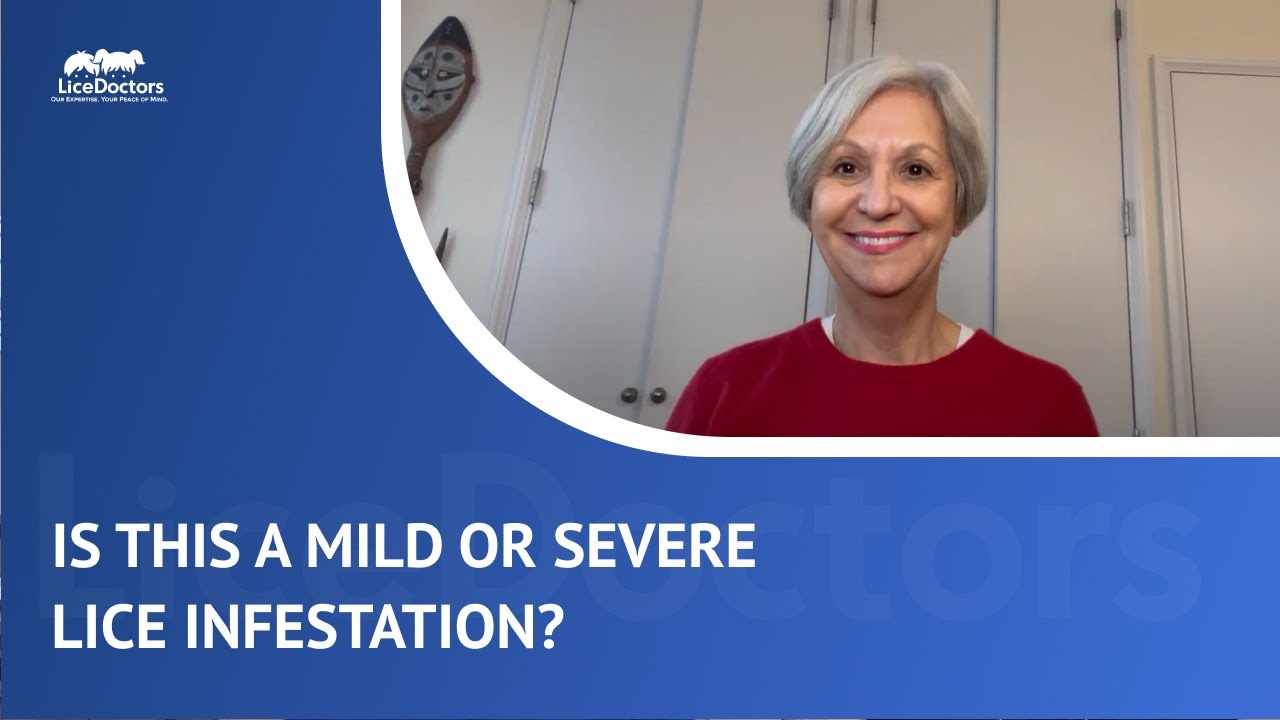 Is This a Mild or Severe Lice Infestation? | LiceDoctors