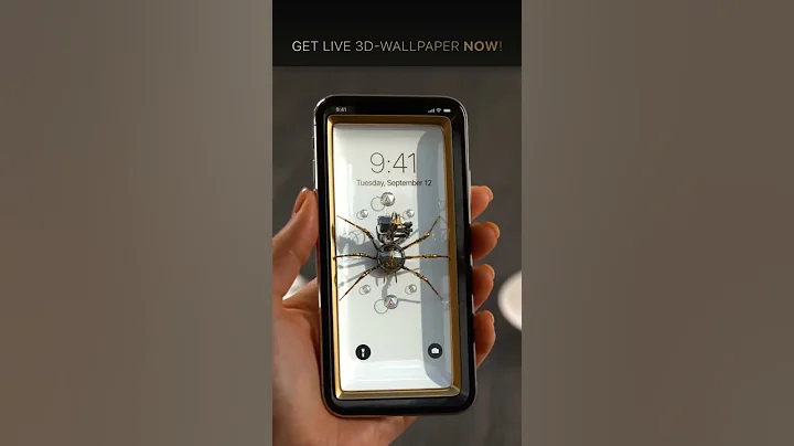 3d 4d spider live wallpaper for phone by Walli fly - 天天要闻