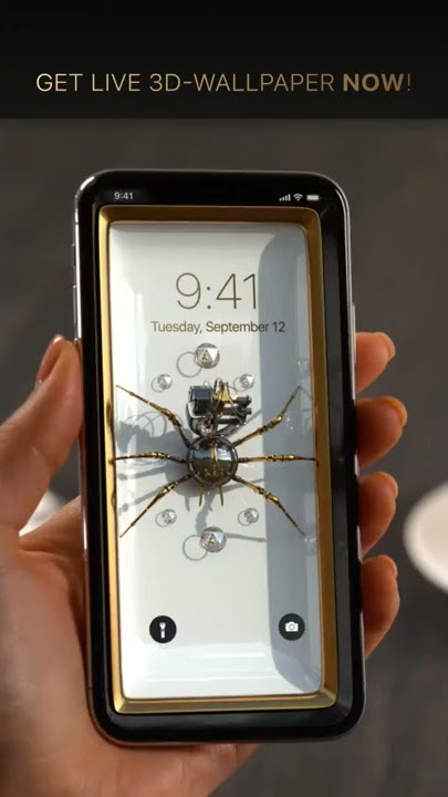 3d 4d spider live wallpaper for phone by Walli fly