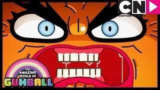 Gumball | Darwin Gets Jealous Of Penny | The Bros | Cartoon Network