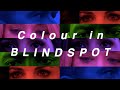 Colour in blindspot