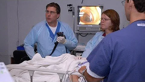 ¿Qué órganos puede ver el médico durante una colonoscopia?
