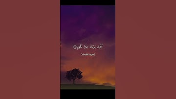 { وتوكل على العزيز الرحيم...} للقارئ / محمد هشام #القرآن_الكريم #محمد_هشام #الشعراء