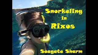 ♡ Rixos Seagate Sharm ♡ Snorkeling