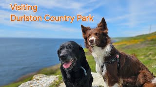 Join @atos_loves_kira on their walk to Durlston Country Park/Swanage