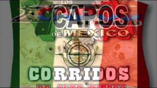 los capos de mexico mix