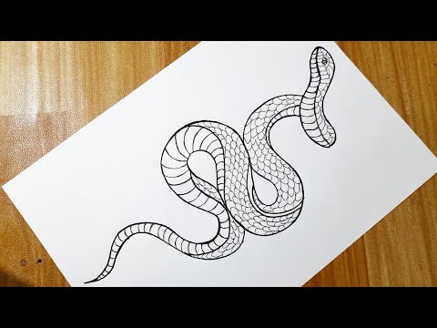 How to draw a snake easy step by step || Snake tattoo drawing