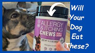 Dog Allergy Chews First Look Taste Test