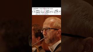 Tchaikovsky: Symphony No. 5 🎶 Horn Solo  #classicalmusic #frenchhorn #orchestra #tchaikovsky
