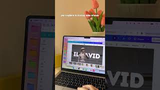 piccolo tutorial per Canva