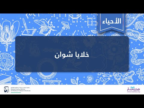 فيديو: أي مما يلي يصف التغصنات؟