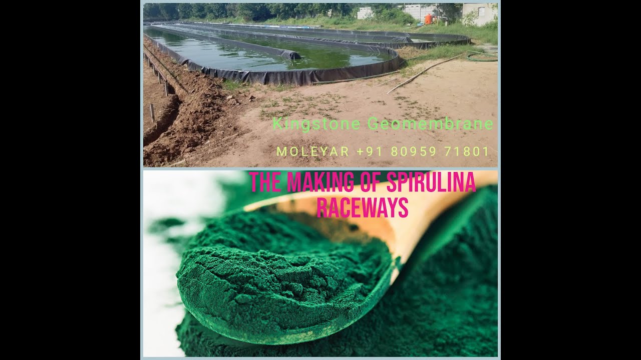 The Making of the Spirulina raceways at Ahmedabad, Gujarat. Kingstone