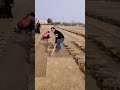 The process of digging turf with a steel shovel
