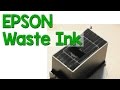 Epson Resttintentank (Waste Ink) austauschen & Resetten