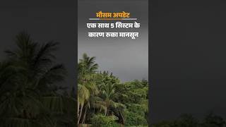 #telangnanews में अटका मानसून, 19 राज्य बारिश को तरस रहे #monsoon #weatherupdate #rainalert