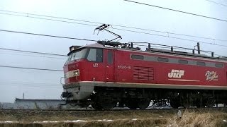EF510-10牽引高速貨物95レ 梶ヶ谷→札幌