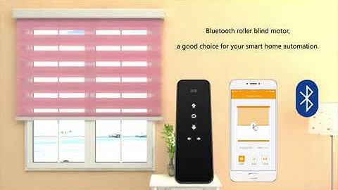 Hiladuo roller motor