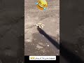 حتى هذا ماسلم منه  mp3