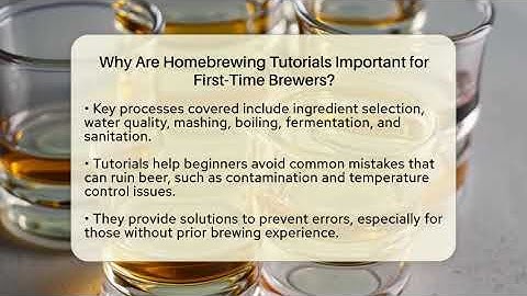Why Are Homebrewing Tutorials Important for First-Time Brewers? | The Pint Guy