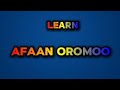 Daily English Conversation Practice In Afaan Oromo And Amharic Afaanoromoo 