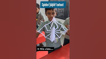 Spider Paper Cutout #origami #origamicraft