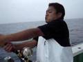 【もろこ釣り・巨大モロコ?・銭洲・泳がせ釣り2008】2008/06/09 銭洲 巨大モロコ!ヒット!... 三島市 丸子淳平氏