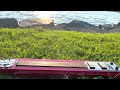 Chokher Aloe - Robindra Sangit on Steel Guitar, Covered by Sonia Afroz.